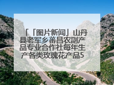 「图片新闻」山丹县老军乡蕃昌农副产品专业合作社每年生产各类玫瑰花产品500多吨